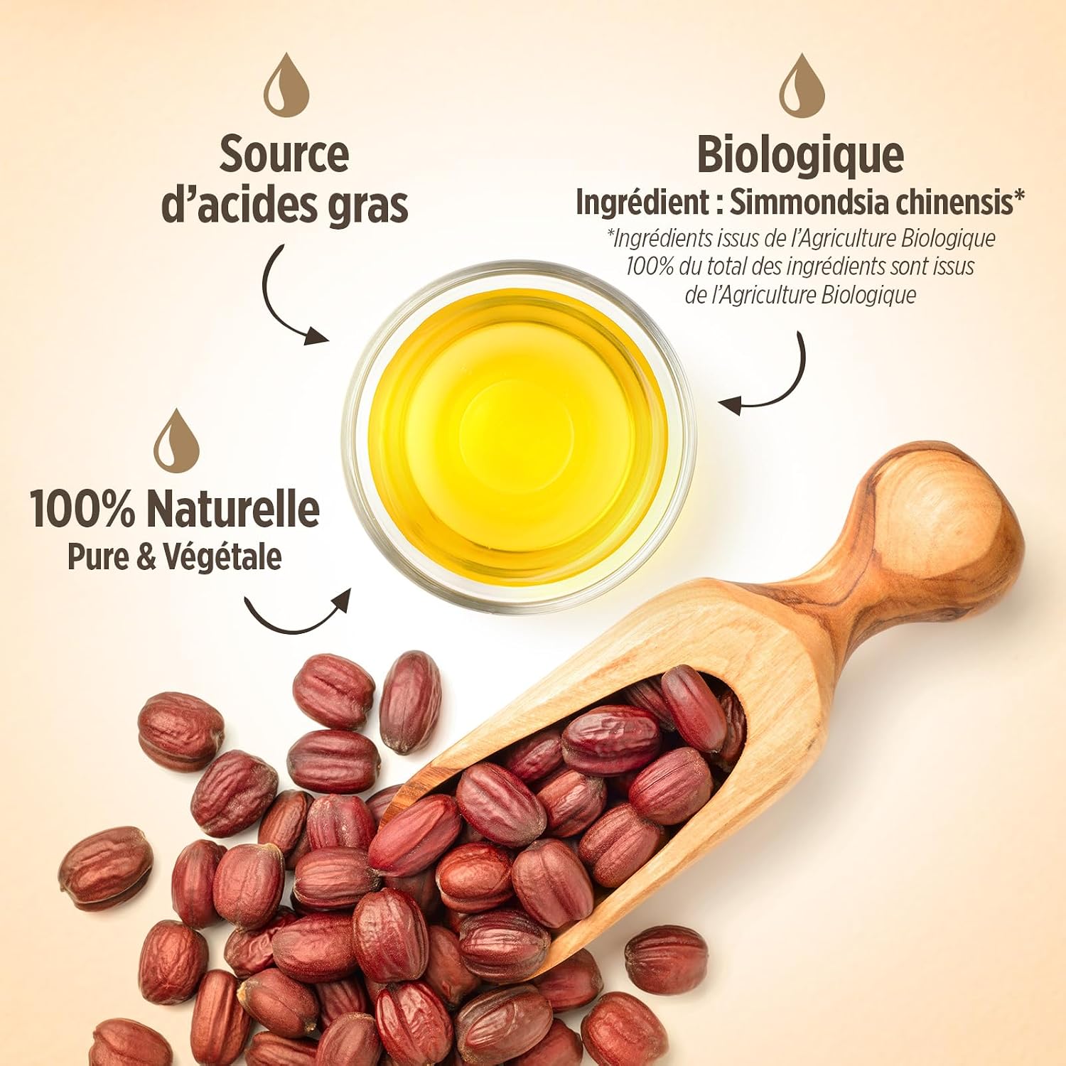 Huile de jojoba bio pour Corps et cheveux 6 Huile de jojoba bio pour Corps et cheveux – Image 6