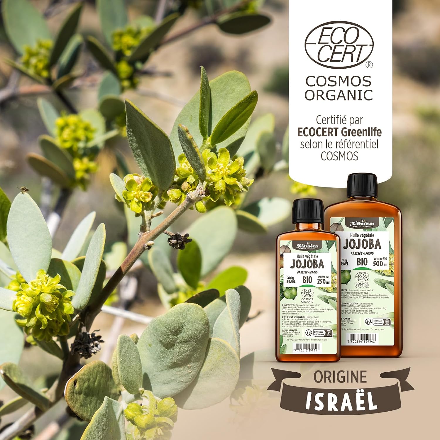 Huile de jojoba bio pour Corps et cheveux 7 Huile de jojoba bio pour Corps et cheveux – Image 7