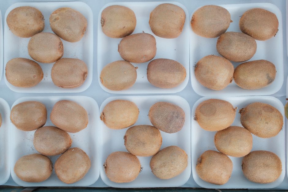 Votre bilan bien-être, au quotidien 13 Kiwi : votre allié naturel pour une peau rayonnante et protégée