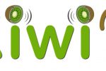 Zoom sur la mallette KIWI