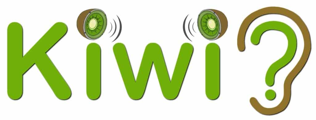 Logo mallette kiwi